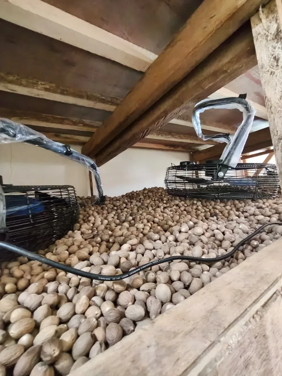 Packed commodities staged for export