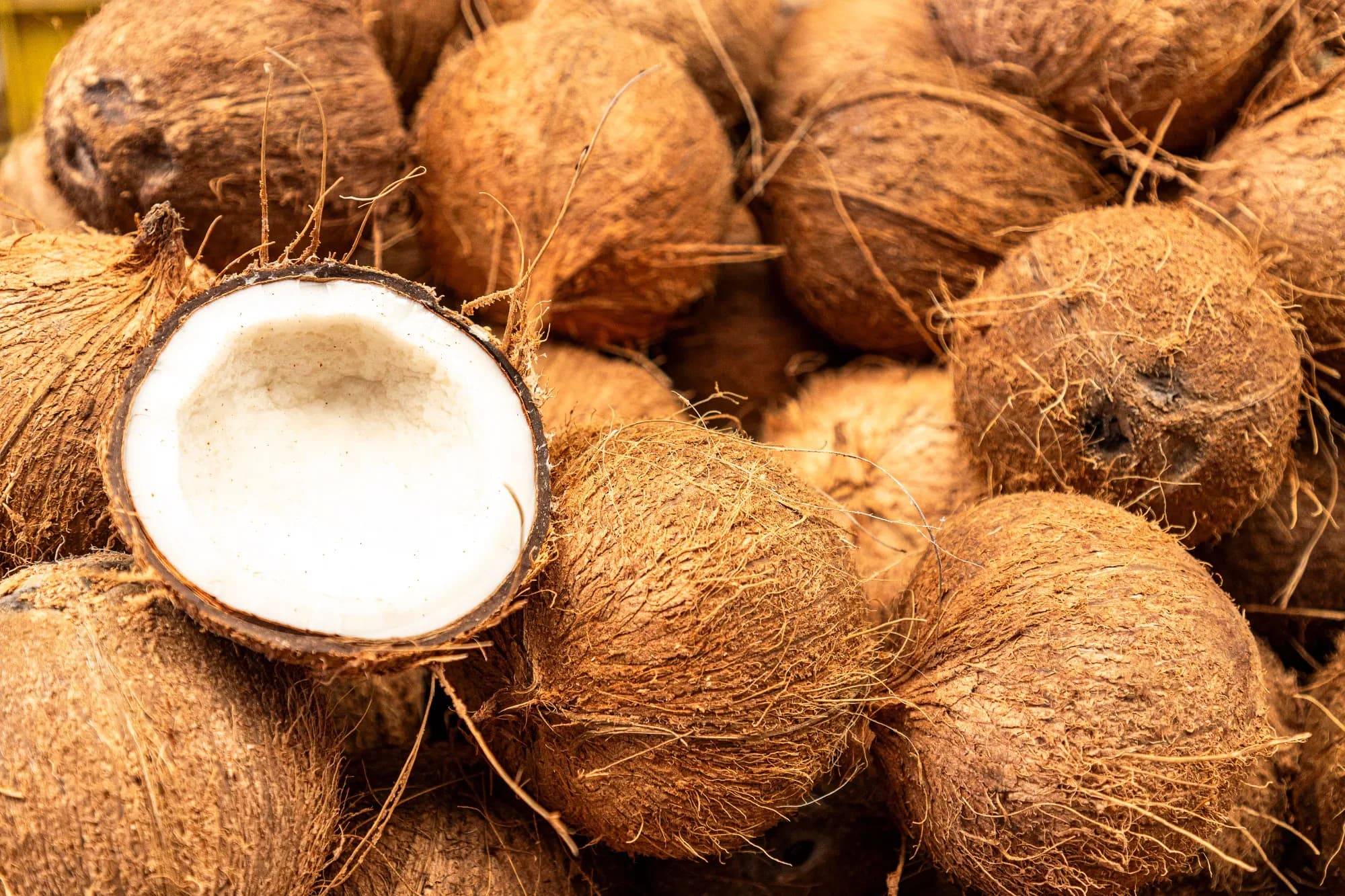 The finest coconut